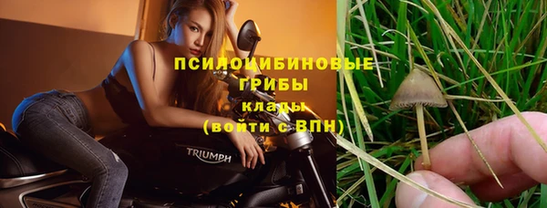 мет Бикин