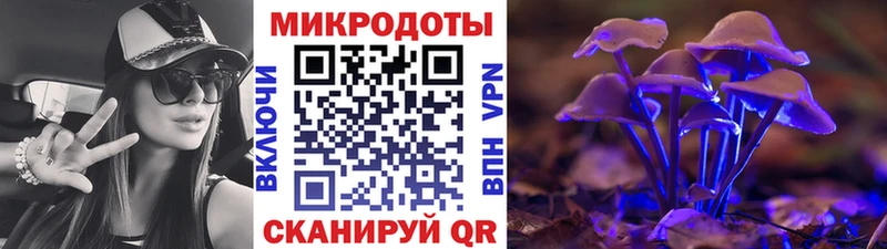 Псилоцибиновые грибы MAGIC MUSHROOMS  Суоярви 
